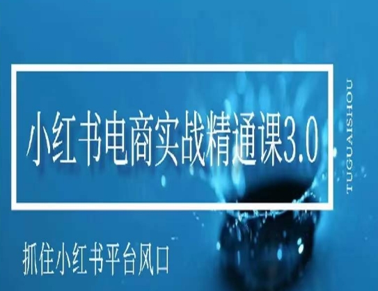 小红书电商实战精通课3.0，抓住小红书平台的风口，不错过有一个赚钱的机会-网创资源吧