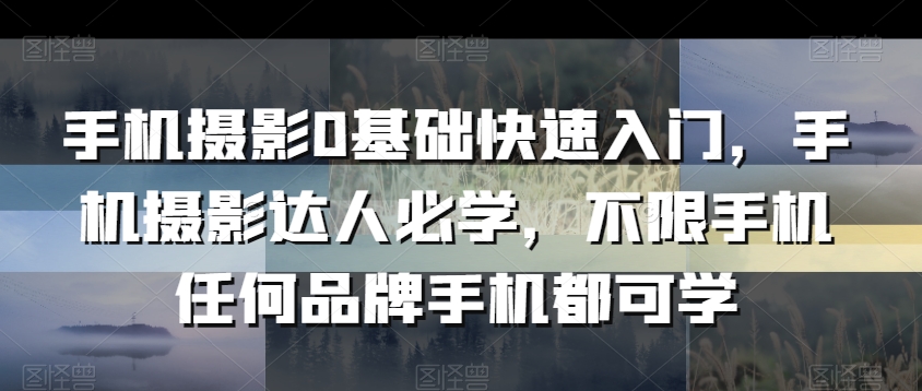 手机摄影0基础快速入门，手机摄影达人必学，不限手机任何品牌手机都可学-网创资源吧