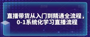直播带货从入门到精通全流程,0-1系统化学习直播流程-网创资源吧