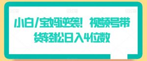 小白/宝妈逆袭!视频号带货轻松日入4位数【揭秘】-网创资源吧