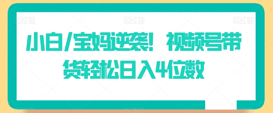 小白/宝妈逆袭！视频号带货轻松日入4位数【揭秘】-网创资源吧