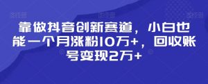 靠做抖音创新赛道，小白也能一个月涨粉10万+，回收账号变现2万+【揭秘】-网创资源吧
