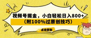 视频号掘金,小白轻松日入800+(附100%过原创技巧)【揭秘】-网创资源吧