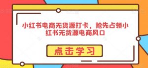 小红书电商无货源打卡,抢先占领小红书无货源电商风口-网创资源吧