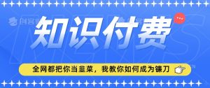 2024最新知识付费项目,小白也能轻松入局,全网都在教你做项目,我教你做镰刀【揭秘】-网创资源吧