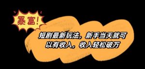 短剧最新玩法，新手当天就可以有收入，收入轻松破万【揭秘】-网创资源吧