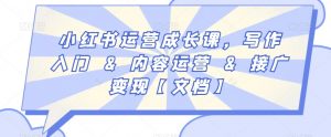 小红书运营成长课,写作入门&内容运营&接广变现【文档】-网创资源吧