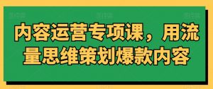 内容运营专项课,用流量思维策划爆款内容-网创资源吧