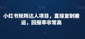 小红书矩阵达人项目，直接复制搬运，回报率非常高-网创资源吧