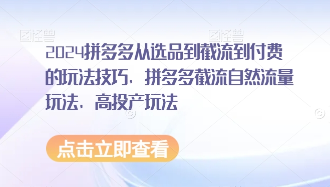 2024拼多多从选品到截流到付费的玩法技巧，拼多多截流自然流量玩法，高投产玩法-网创资源吧