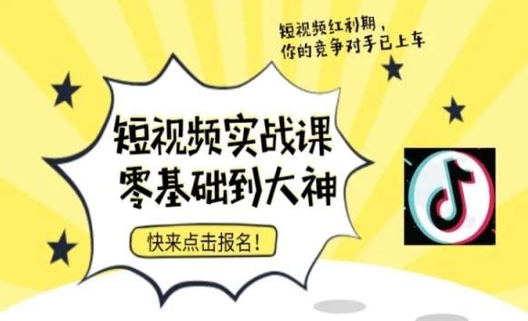 短视频零基础落地实操训练营，短视频实战课零基础到大神-网创资源吧