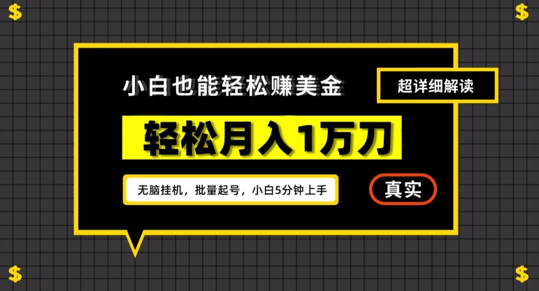 谷歌看广告撸美金2.0，无脑挂机，多号操作，月入1万刀【揭秘】-网创资源吧
