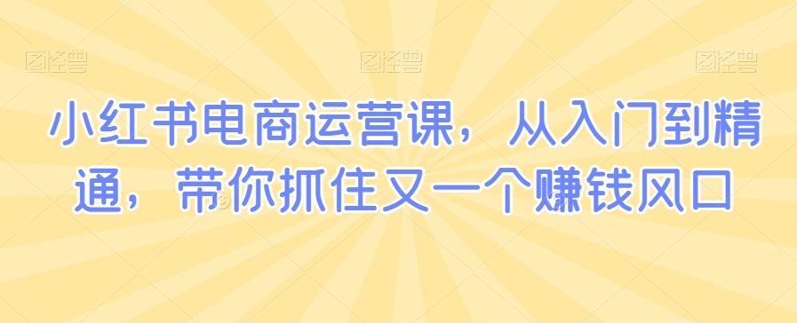 小红书电商运营课，从入门到精通，带你抓住又一个赚钱风口-网创资源吧