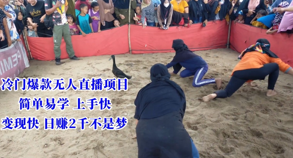 冷门爆款无人直播项目，简单易学上手快，变现快日赚2千不是梦【揭秘】-网创资源吧