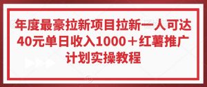 年度最豪拉新项目拉新一人可达40元单日收入1000＋红薯推广计划实操教程【揭秘】-网创资源吧