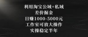 利用淘宝公域+私域差价掘金,日赚1000-5000元,工作室可放大操作,实操稳定半年【揭秘】-网创资源吧