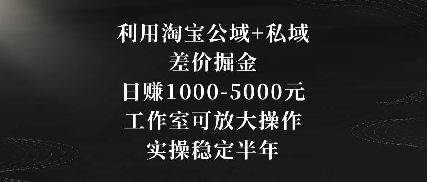 利用淘宝公域+私域差价掘金，日赚1000-5000元，工作室可放大操作，实操稳定半年【揭秘】-网创资源吧