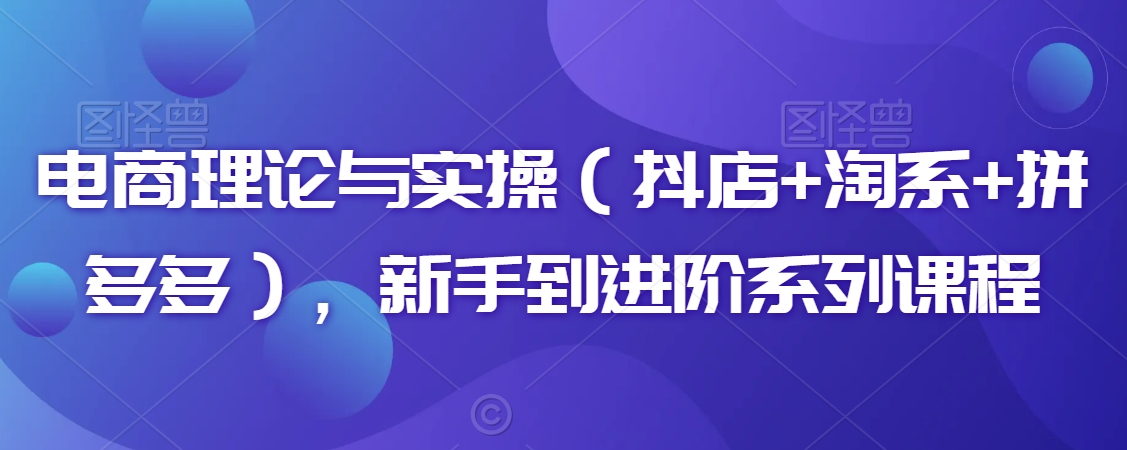 电商理论与实操（抖店+淘系+拼多多），新手到进阶系列课程-网创资源吧