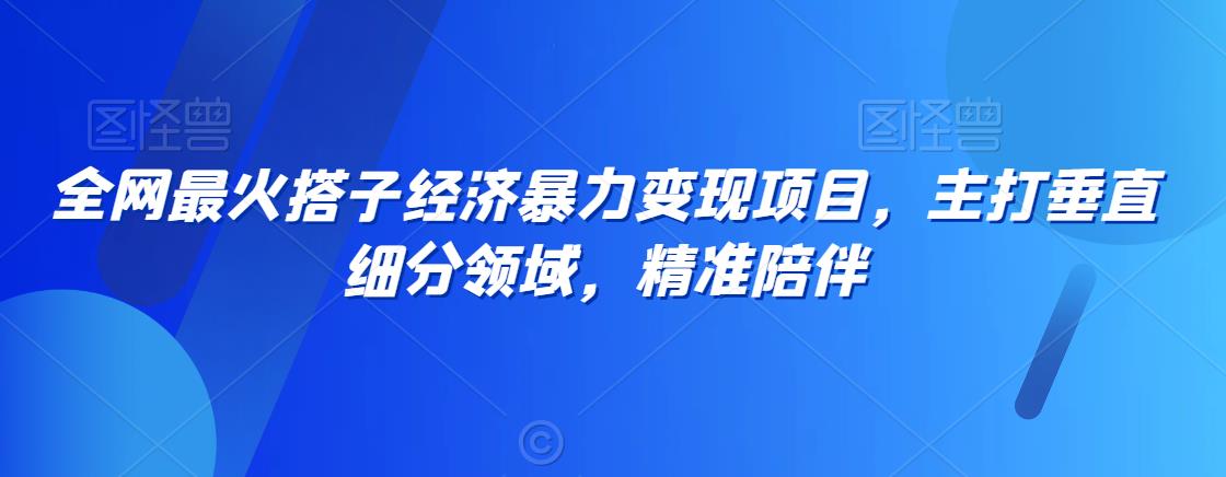 全网最火搭子经济暴力变现项目，主打垂直细分领域，精准陪伴【揭秘】-网创资源吧