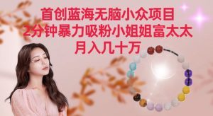首创蓝海无脑小众项目,2分钟暴力吸粉小姐姐富太太,月入几十万【揭秘】-网创资源吧