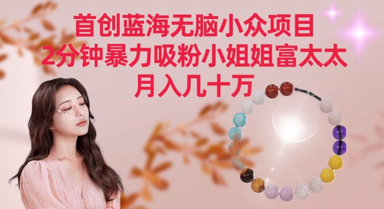 首创蓝海无脑小众项目，2分钟暴力吸粉小姐姐富太太，月入几十万【揭秘】-网创资源吧