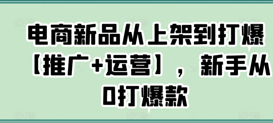 电商新品从上架到打爆【推广+运营】，新手从0打爆款-网创资源吧