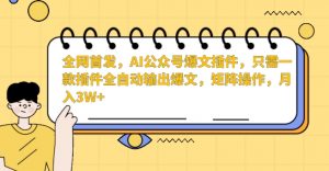 全网首发，AI公众号爆文插件，只需一款插件全自动输出爆文，矩阵操作，月入3W+【揭秘】-网创资源吧