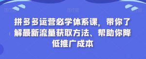 拼多多运营必学体系课,带你了解最新流量获取方法、帮助你降低推广成本-网创资源吧