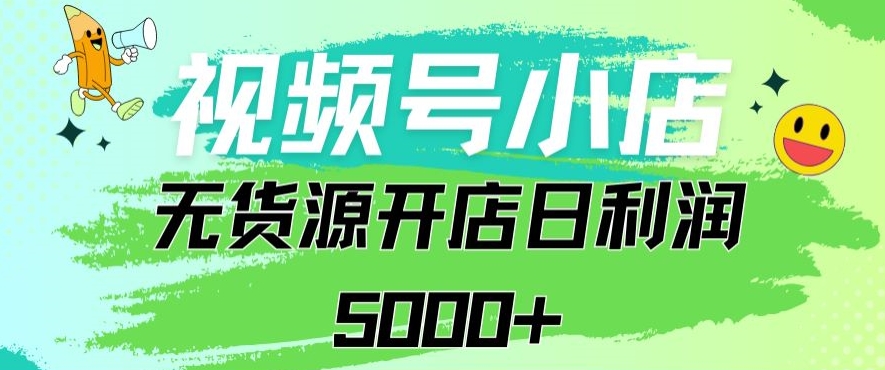 视频号无货源小店从0到1日订单量千单以上纯利润稳稳5000+【揭秘】-网创资源吧