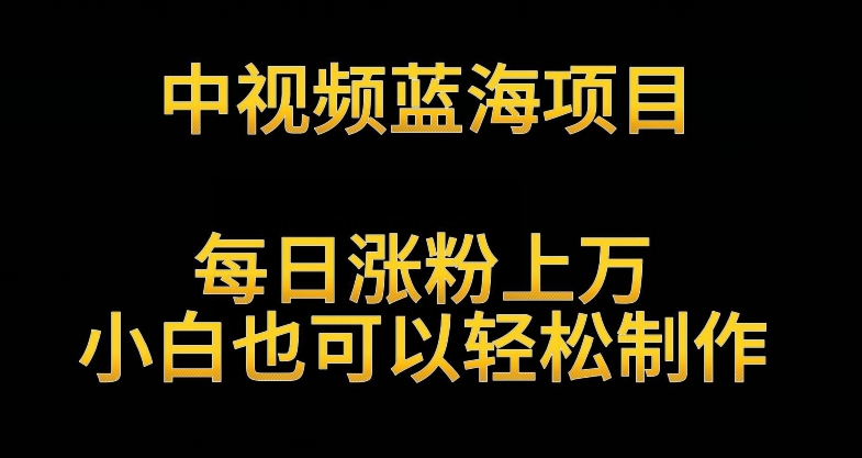 中视频蓝海项目，解读英雄人物生平，每日涨粉上万，小白也可以轻松制作，月入过万不是梦【揭秘】-网创资源吧
