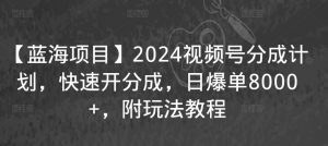 【蓝海项目】2024视频号分成计划，快速开分成，日爆单8000+，附玩法教程-网创资源吧