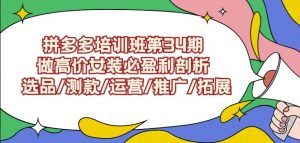 拼多多培训班第34期:做高价女装必盈利剖析选品/测款/运营/推广/拓展-网创资源吧