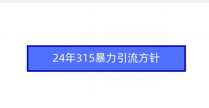 24年315暴力引流方针-网创资源吧