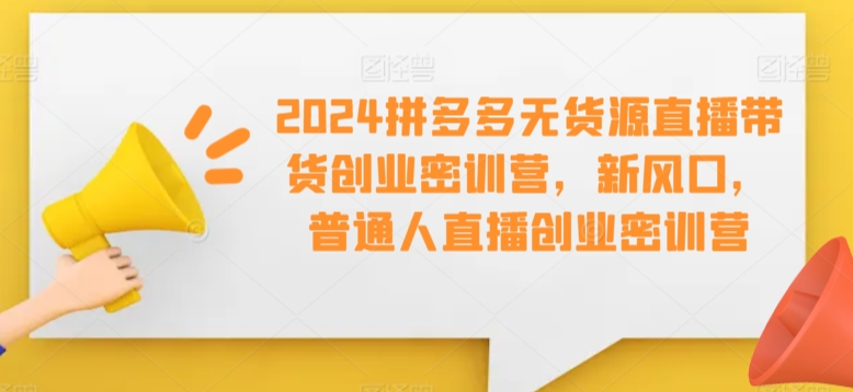 2024拼多多无货源直播带货创业密训营，新风口，普通人直播创业密训营-网创资源吧