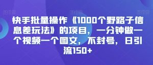 快手批量操作《1000个野路子信息差玩法》的项目，一分钟做一个视频一个图文，不封号，日引流150+【揭秘】-网创资源吧