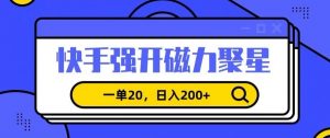 信息差赚钱项目，快手强开磁力聚星，一单20，日入200+【揭秘】-网创资源吧