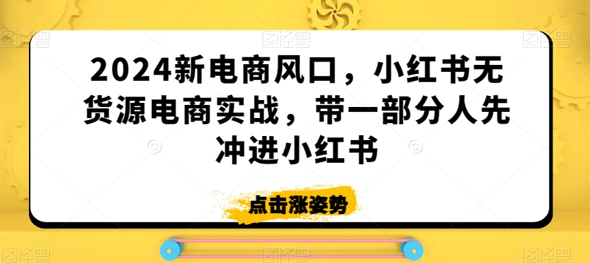 2024新电商风口，小红书无货源电商实战，带一部分人先冲进小红书-网创资源吧