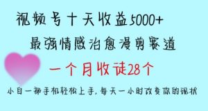 十天收益5000+,多平台捞金,视频号情感治愈漫剪,一个月收徒28个,小白一部手机轻松上手【揭秘】-网创资源吧
