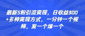 最新S粉引流变现,日收益300+多种变现方式,一分钟一个视频,发一个爆一个【揭秘】-网创资源吧