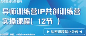 导师训练营3.0IP共创训练营私密实操课程（12节）-卖项目的密码成功秘诀【揭秘】-网创资源吧