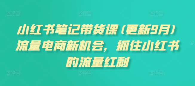 小红书笔记带货课(更新12月)流量电商新机会，抓住小红书的流量红利-网创资源吧