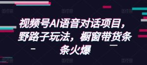 视频号AI语音对话项目,野路子玩法,橱窗带货条条火爆-网创资源吧