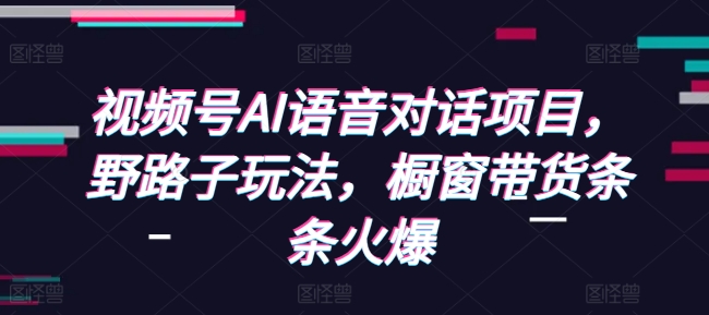 视频号AI语音对话项目，野路子玩法，橱窗带货条条火爆-网创资源吧