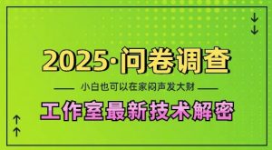 2025问卷调查最新工作室技术解密:一个人在家也可以闷声发大财,小白一天2张,可矩阵放大【揭秘】-网创资源吧