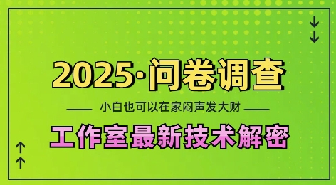 2025问卷调查最新工作室技术解密：一个人在家也可以闷声发大财，小白一天2张，可矩阵放大【揭秘】-网创资源吧