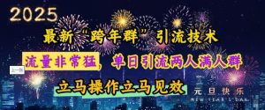 最新“跨年群”引流，流量非常猛，单日引流两人满人群，立马操作立马见效【揭秘】-网创资源吧