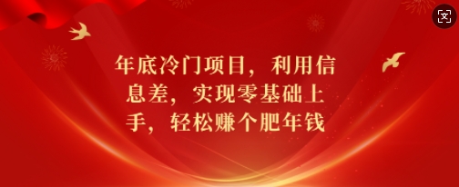 年底冷门项目，利用信息差，实现零基础上手，轻松赚个肥年钱【揭秘】-网创资源吧