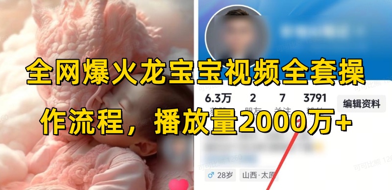全网爆火龙宝宝视频全套操作流程，播放量2000万+-网创资源吧
