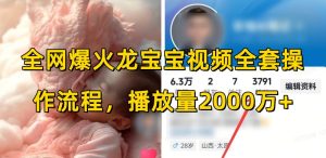 全网爆火龙宝宝视频全套操作流程,播放量2000万+-网创资源吧