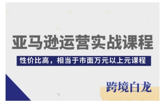 亚马逊运营实战课程，亚马逊从入门到精通，性价比高，相当于市面万元以上元课程-网创资源吧